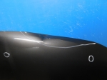 Капот Geely Coolray 2020-
