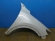 notify_thumb
